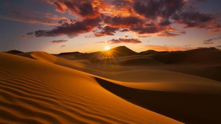 Golden Sandstone Hotel Desert Safari Camp Jaisalmer Bagian luar foto